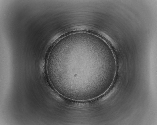 X0000115450778200911121153