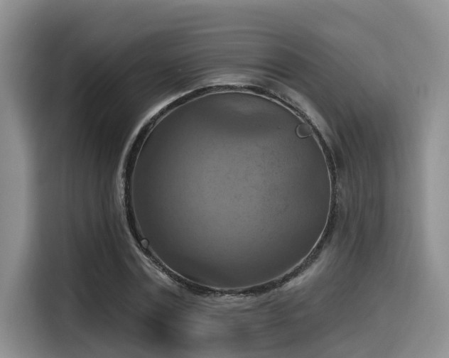 X0000115450779200911121153