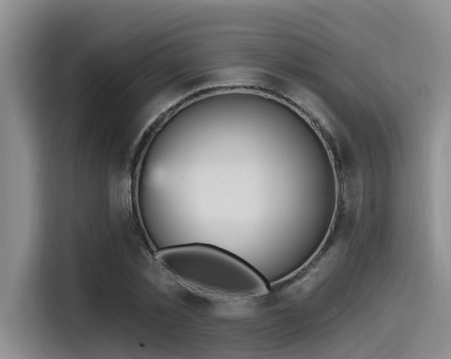 X0000115450781200911121153