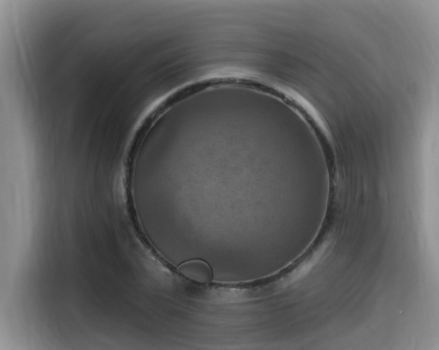 X0000115450783200911121153