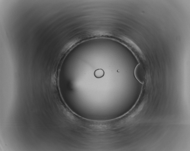 X0000115450785200911121153