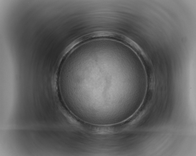 X0000115450786200911121153