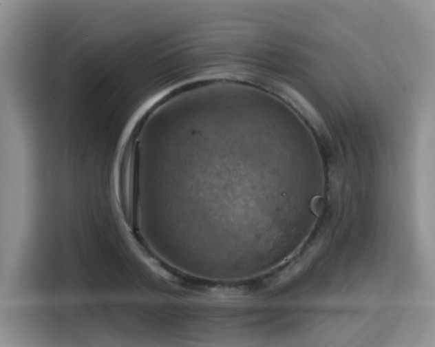 X0000115450788200911121153