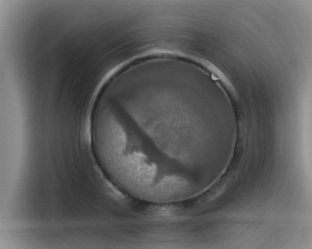 X0000115450791200911121153