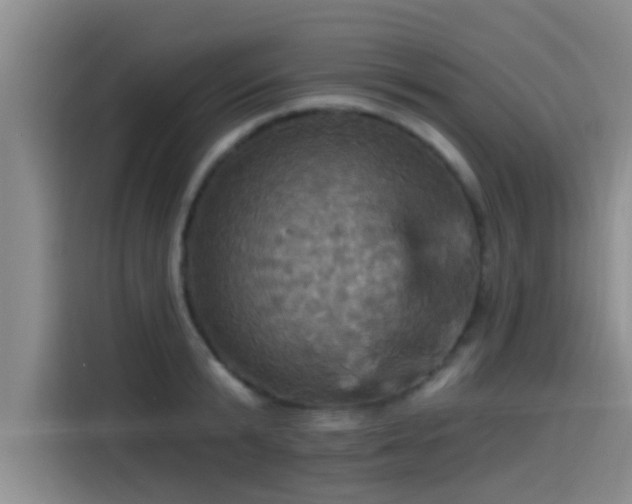 X0000115450799200911121153