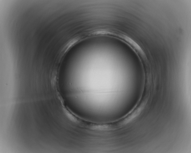 X0000115450801200911121152