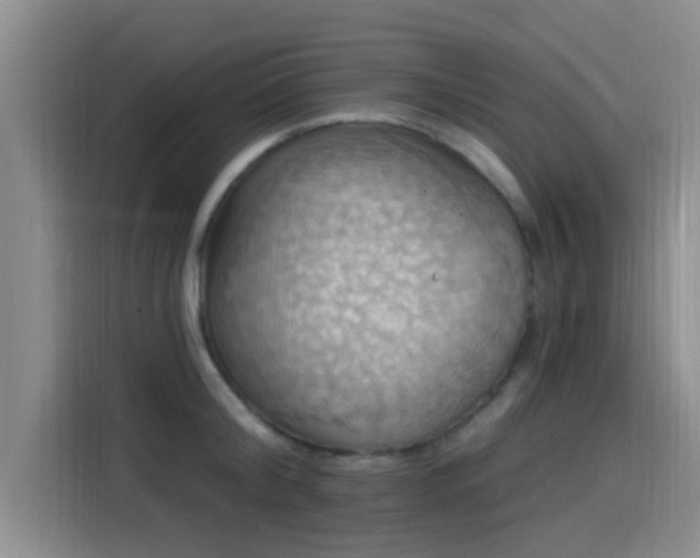 X0000115450804200911121152