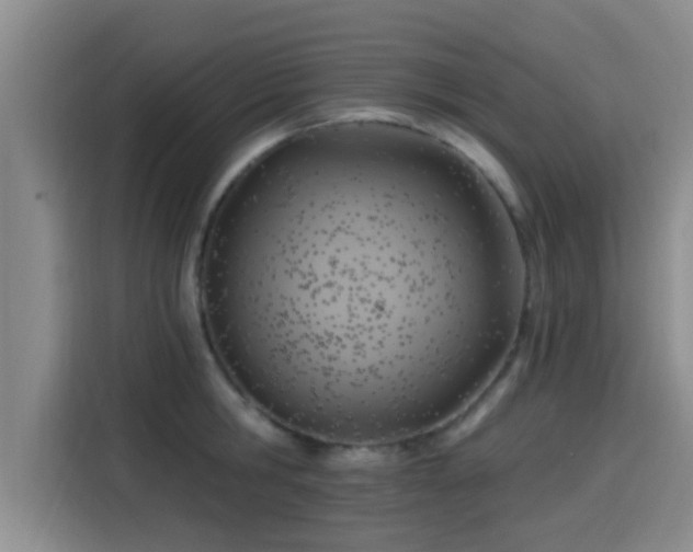 X0000115450806200911121152