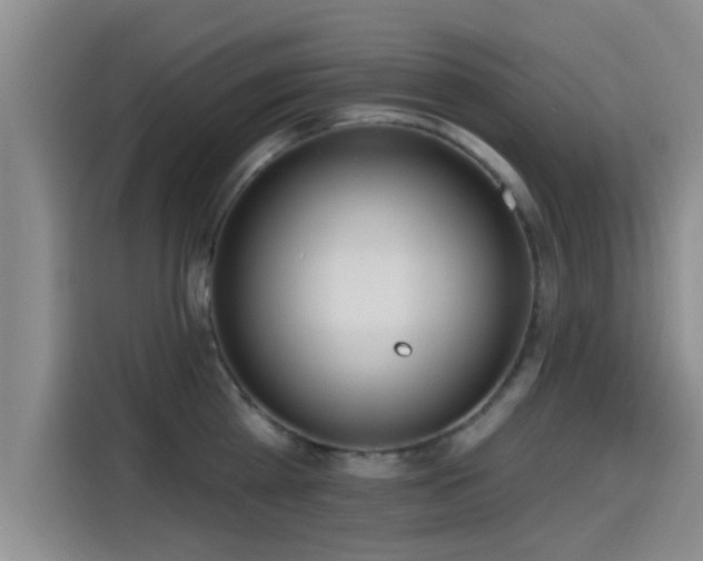 X0000115450809200911121152