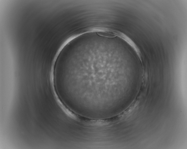X0000115450811200911121152