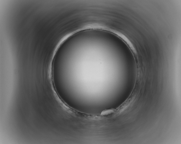 X0000115450815200911121152