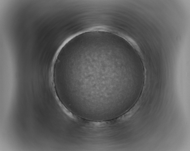 X0000115450816200911121152