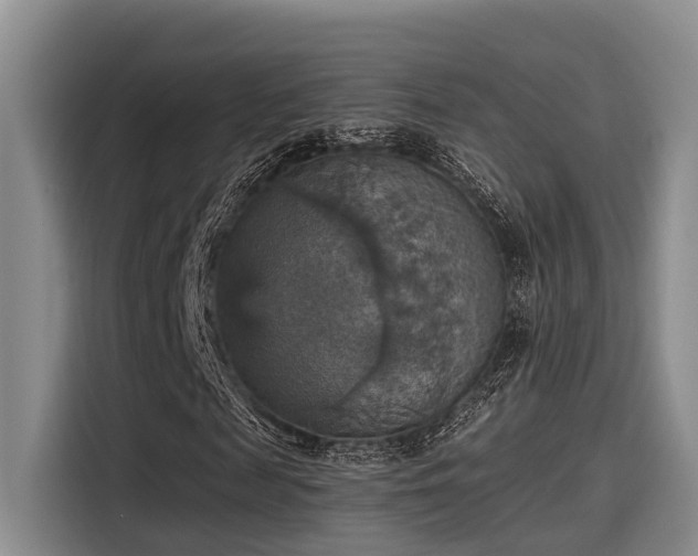 X0000115450817200911121152