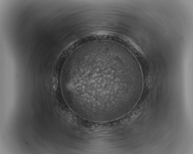 X0000115450821200911121152