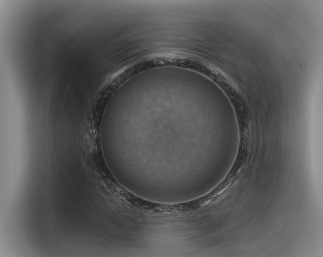 X0000115450822200911121152