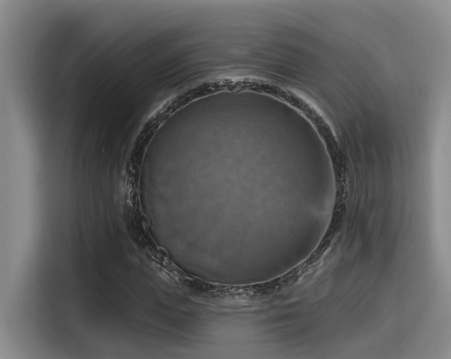 X0000115450823200911121152