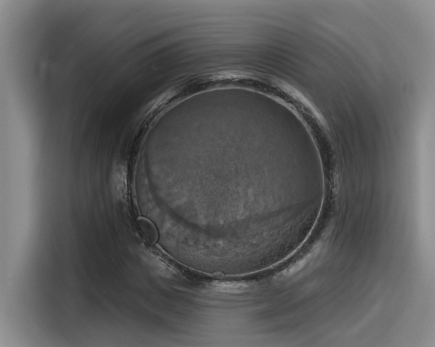 X0000115450825200911121152