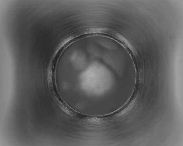 X0000115450827200911121152