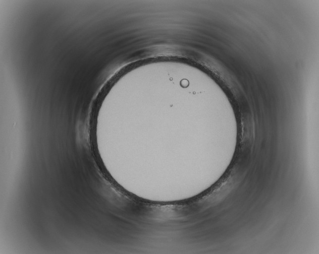 X0000115450828200911121152