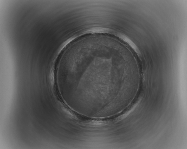 X0000115450829200911121152