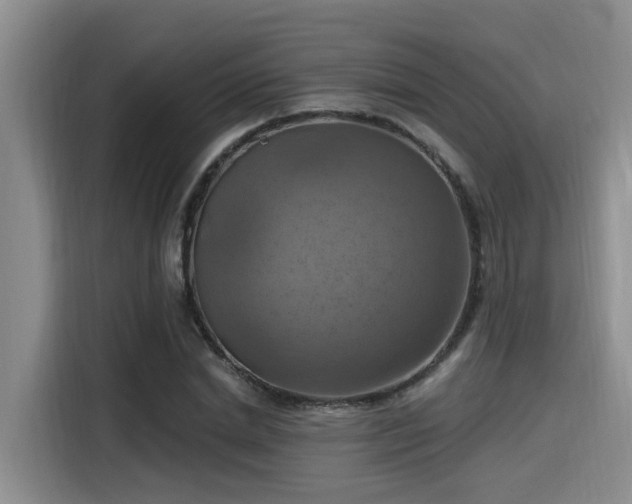 X0000115450830200911121152