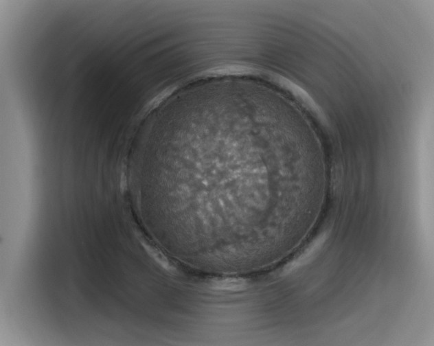 X0000115450833200911121152