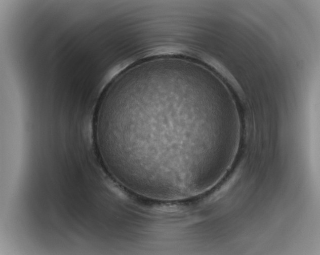 X0000115450834200911121152