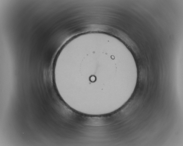 X0000115450836200911121152