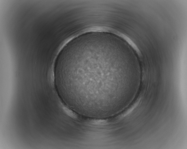 X0000115450837200911121152