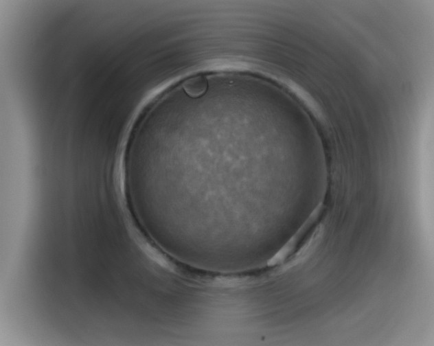 X0000115450840200911121152