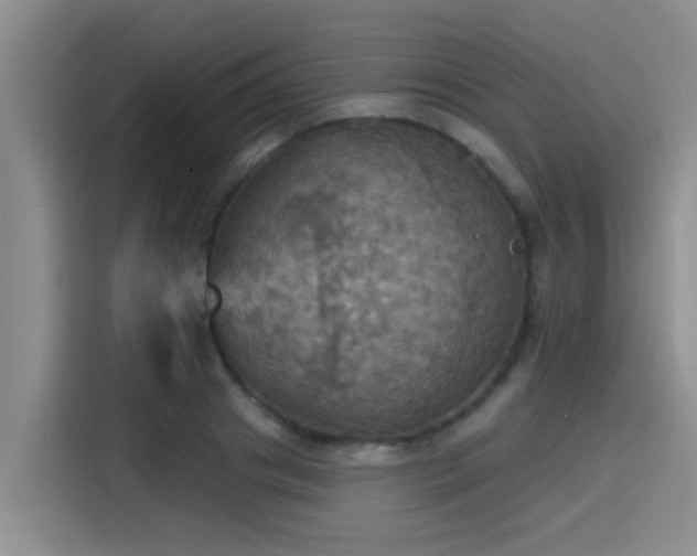 X0000115450841200911121152