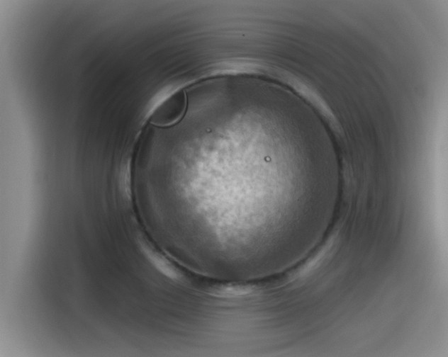X0000115450842200911121152