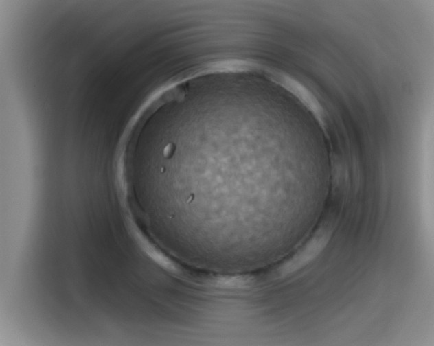 X0000115450843200911121152