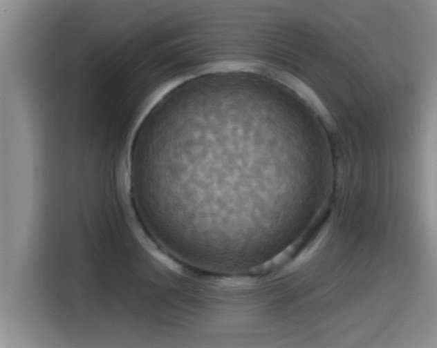 X0000115450844200911121152