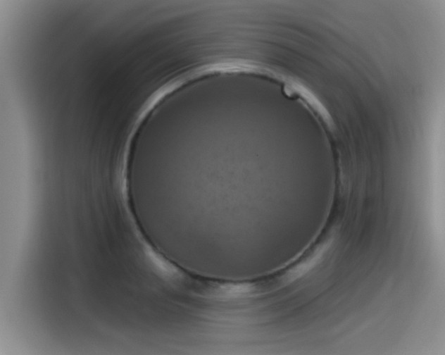 X0000115450845200911121152