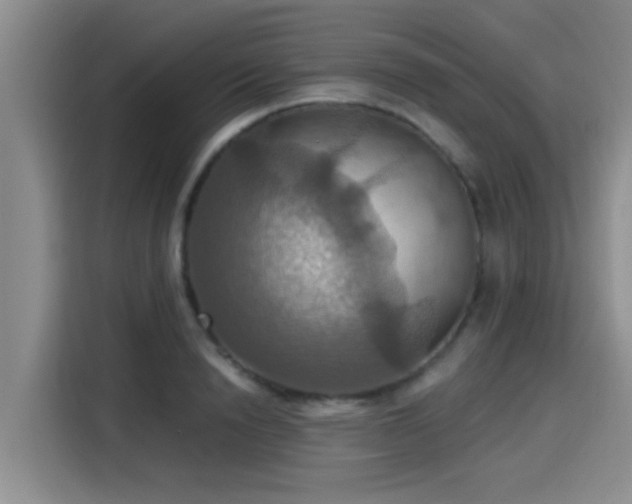 X0000115450846200911121152