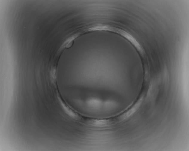 X0000115450849200911121152