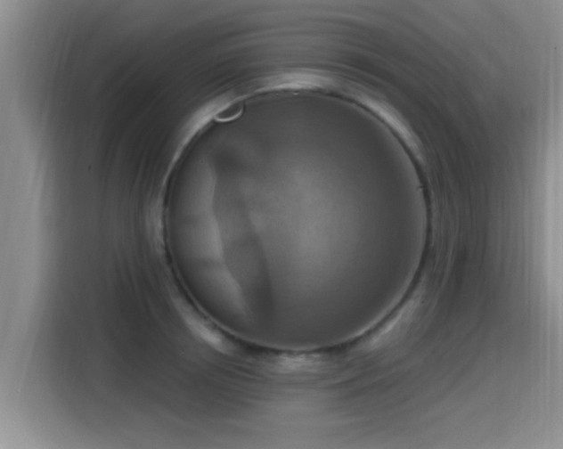 X0000115450850200911121152