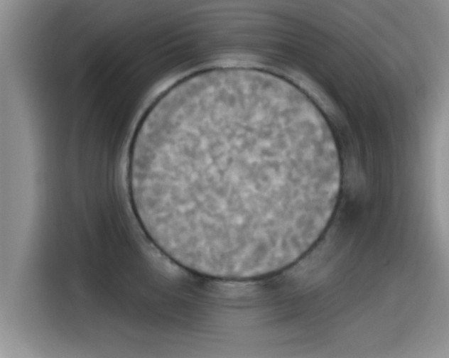 X0000115450856200911121152