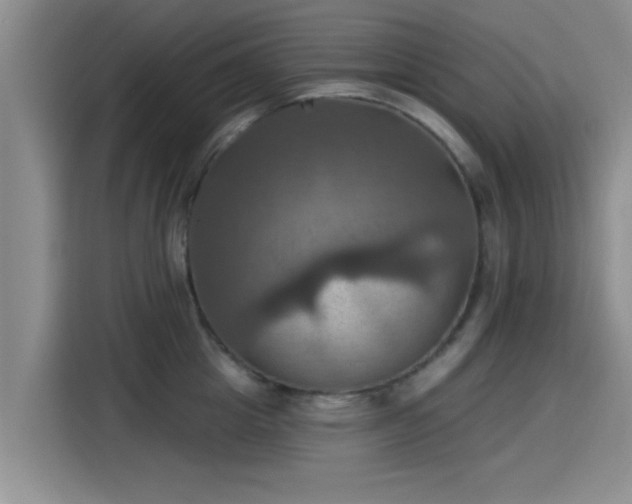 X0000115450857200911121152