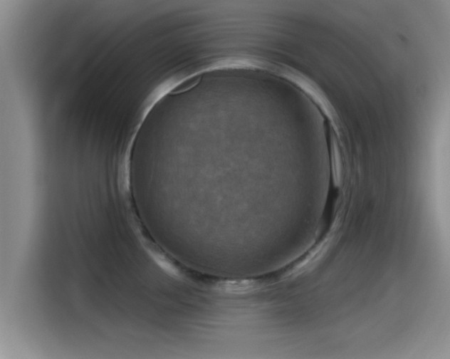 X0000115450858200911121152