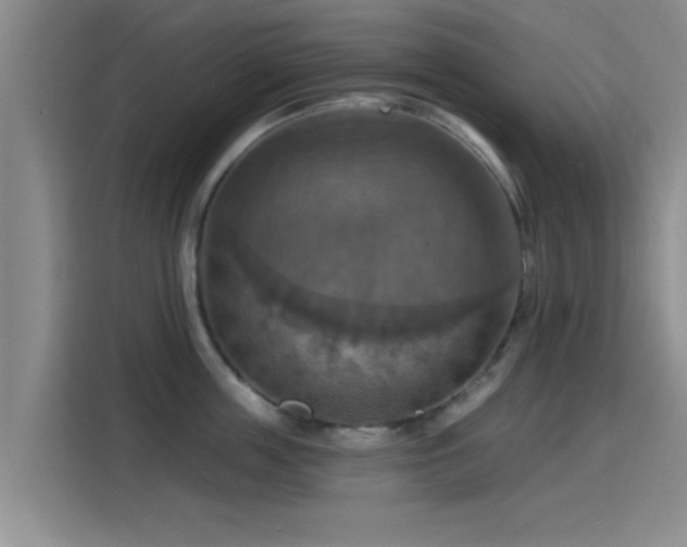 X0000115450859200911121152