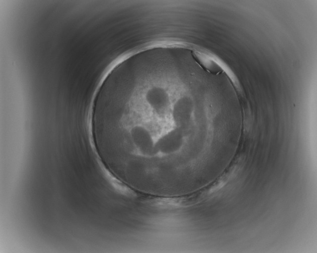 X0000115450861200911121152