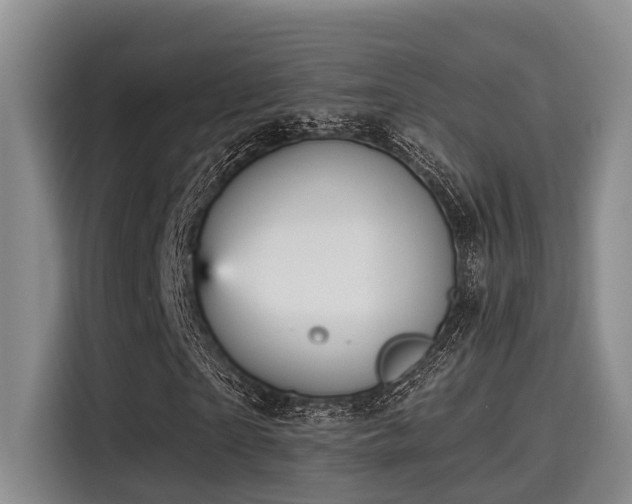 X0000115450865200911121152