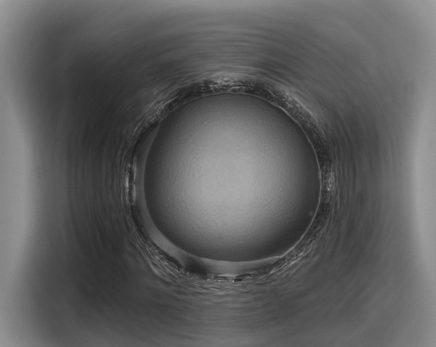 X0000115450868200911121152