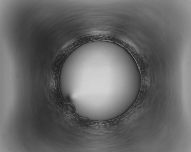 X0000115450869200911121152