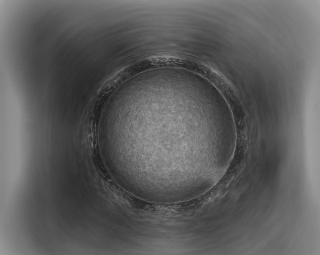 X0000115450870200911121152