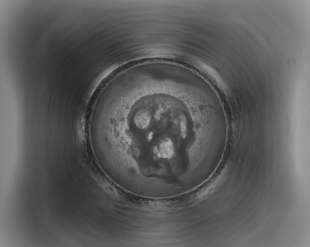 X0000115450875200911121152