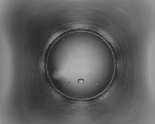 X0000115450877200911121152