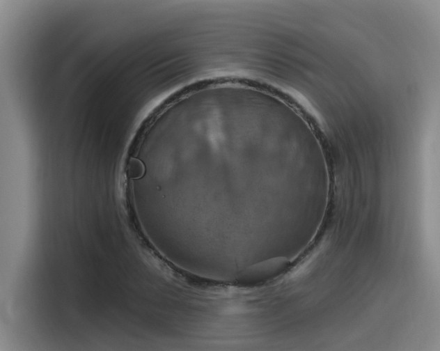 X0000115450879200911121151